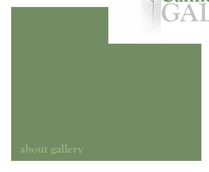 About Gallery